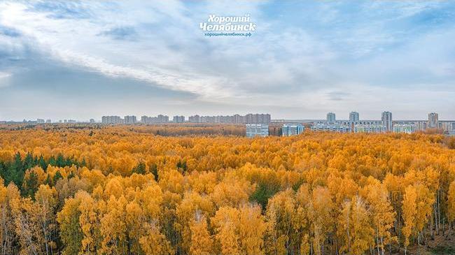 Доброе утро, друзья! ☕ Вот и наступил конец рабочей недели... 🤗Желаем всем отличной пятницы и прекрасного настроения! 😉 