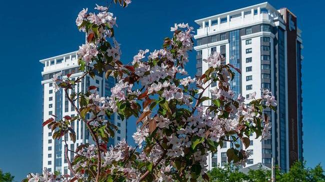 С добрым утром, друзья! ☕ Как настроение с утра? 😉