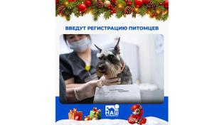 😺 В области вводят обязательную регистрацию домашних животных
