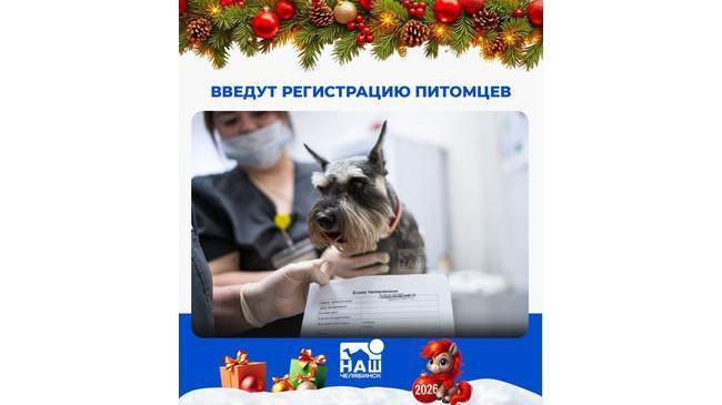 😺 В области вводят обязательную регистрацию домашних животных