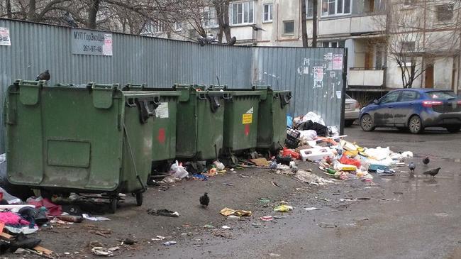 «Будем мыть контейнеры и бороться со свалками»: челябинцам поднимут тариф за вывоз мусора