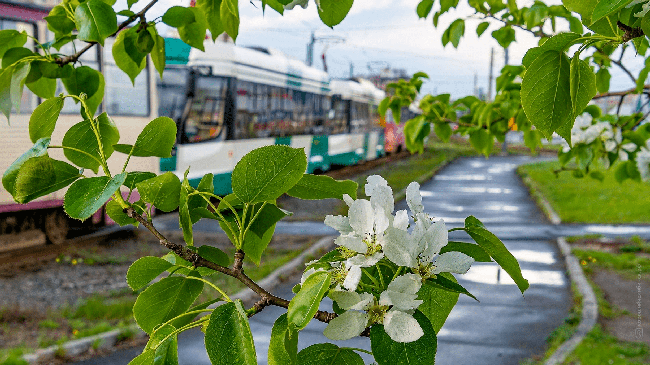 Доброе утро, челябинцы 🙂