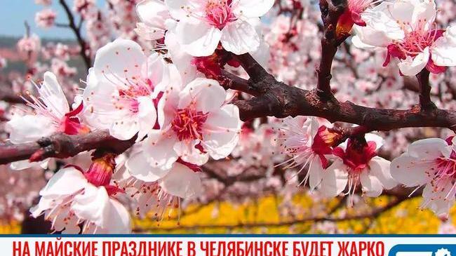 ☀ Жаркая погода придет в Челябинск на майские праздники 