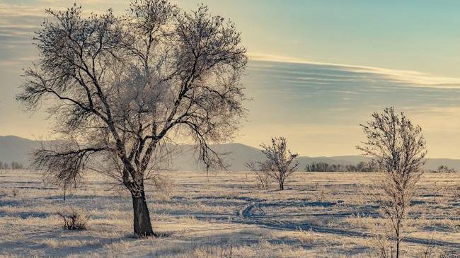🌬Январское утро