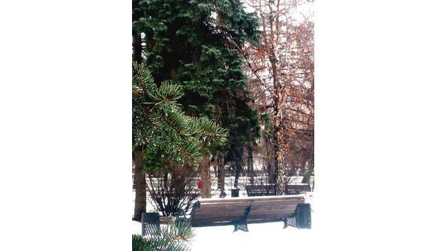 Мой город самый лучший на Земле…