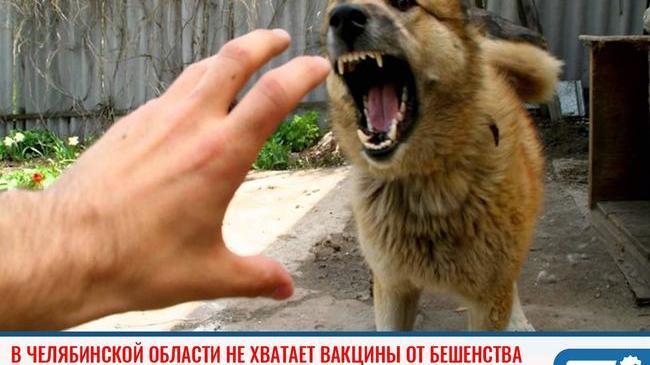 ❗В Минздраве региона сообщили о дефиците вакцины от бешенства 🐕