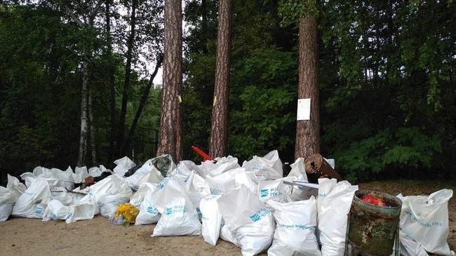 ⚡Более 100 участников и 200 мешков мусора на озере Еловое! 👍 