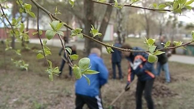 Субботники в Челябинске начнутся в начале апреля
