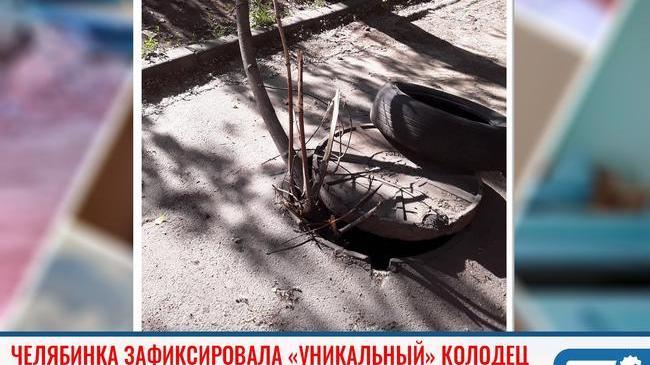 Проект "Пусть Котова знает"