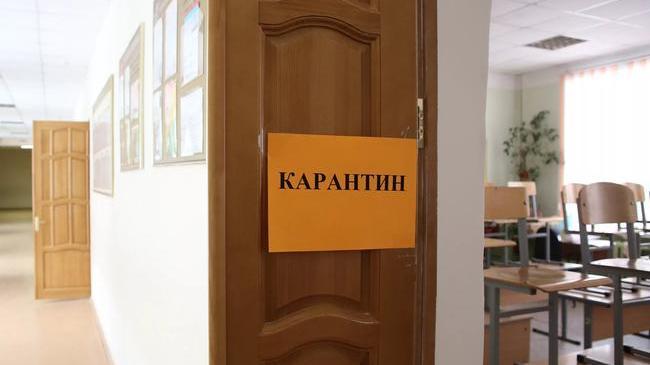 В челябинской гимназии закрыли класс на карантин по пневмонии