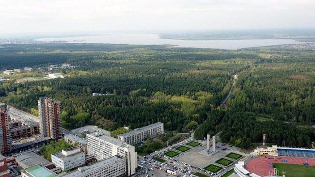 Челябинский бор увеличится на 60 гектаров