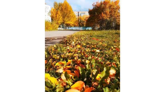 Челябинские осенние краски 🍃🍂🍁 