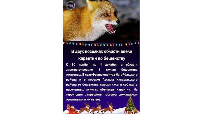 😱В двух поселках области ввели карантин по бешенству