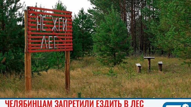 🌲❌ Жителям Челябинской области запретили посещать леса 