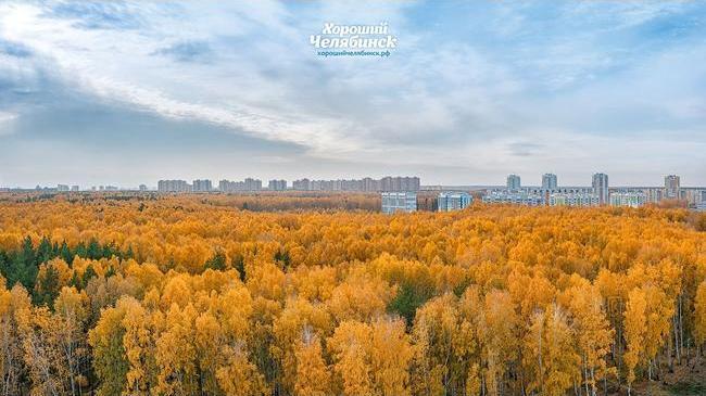 Доброе утро, челябинцы! ☀ У кого какие планы на сегодня? 😊 