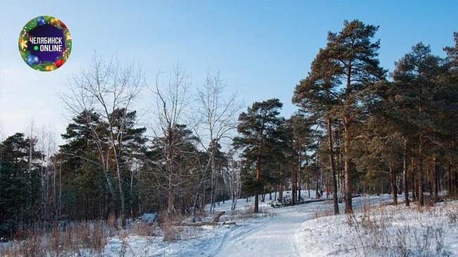 🚴‍♂ На Северо-западе планируют построить экстрим-парк за 2 миллиарда рублей.