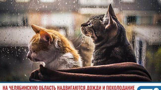 ❗На Челябинскую область надвигаются дожди и похолодание