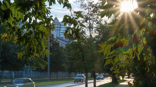 Доброе утро, челябинцы! 😊 Сегодня будет ясно ☀️,🌡температура днем +29, ночью +21. Какие у вас планы на день?