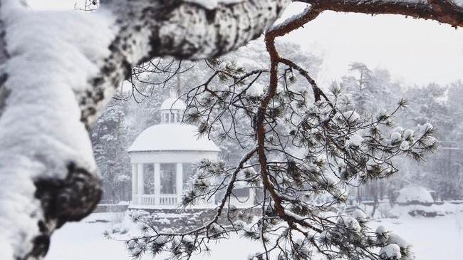 Морозное утро в парке Гагарина ❄