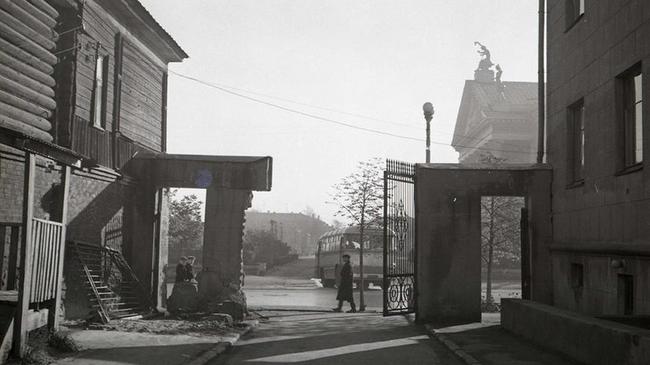 Во дворе за домом по ул. Кирова, 86, 1950 год