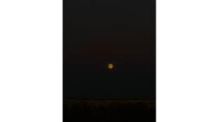 🌕 Огромная луна взошла сегодня над Челябинском