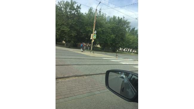 Всем доброго денечка! 🤗