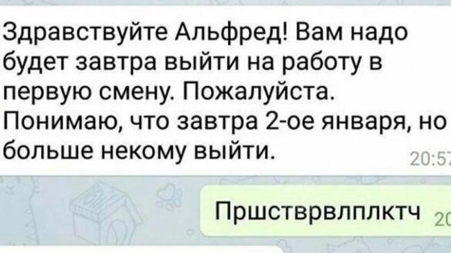 😁 Инструкция, как себя вести, когда 1 января срочно вызывают на работу 