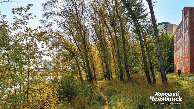 🍂 Солнечная тропинка на челябинской набережной. Поделитесь музыкой, которую слушаете на осенних прогулках!