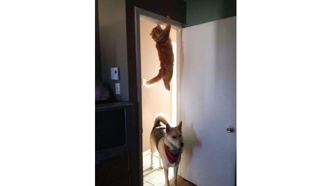 Диверсант пока не пойман 😄