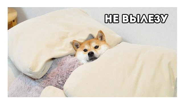 Самые беззащитные в мире существа: