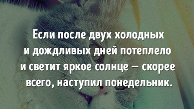 После нескольких часов. Если после двух дождливых дней наступает. Прикол примета если после двух дождливых дней.