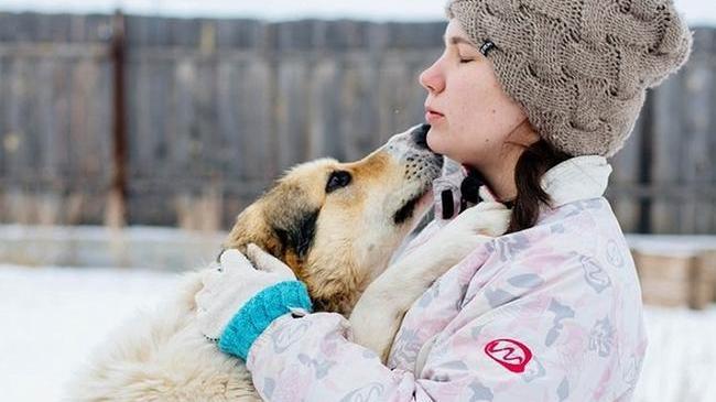 Идет травля зоозащитницы, которая уже десять лет спасает жизни собак и кошек! Ей очень нужна поддержка! 