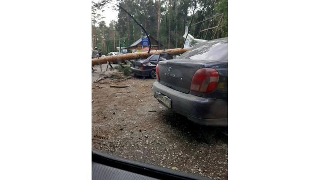 ⚠ На озере Увильды дерево упало на автомобиль