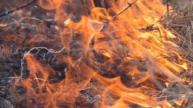 Крупные лесные пожары охватили Челябинскую область