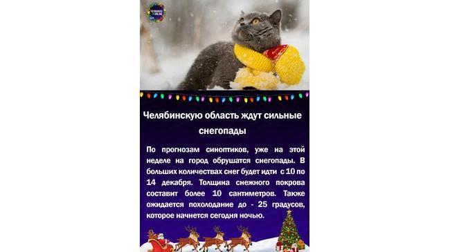 ❄🌬Челябинскую область ждут сильные снегопады