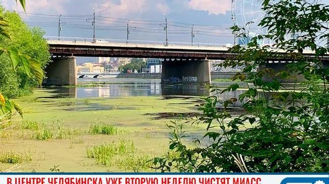 😨 29 миллионов рублей в никуда: в центре Челябинске (не) чистят реку 