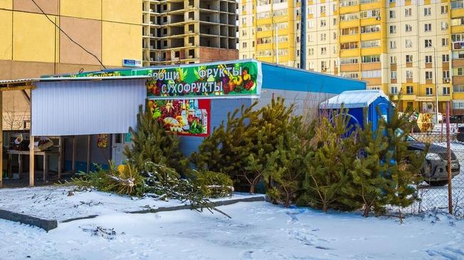 В Челябинске нашли владельцев нераспроданных елок