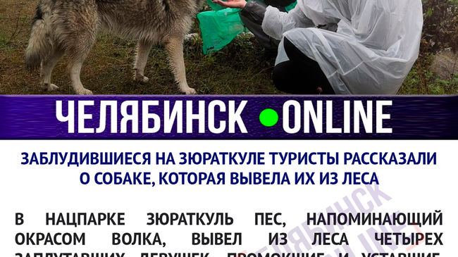 История со счастливым концом!👍
