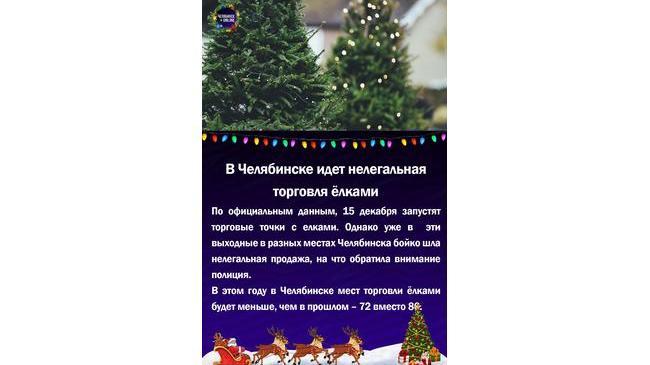 🎄В Челябинске идет нелегальная торговля ёлками