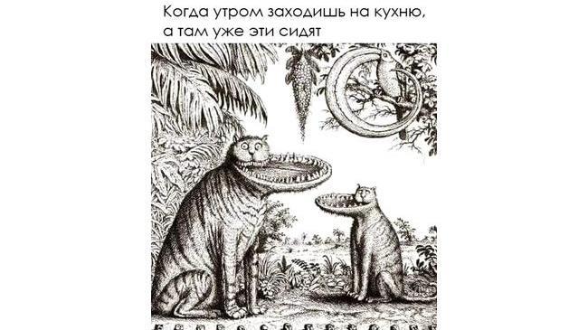 Утpo нaчинaeтcя нe c кoфe