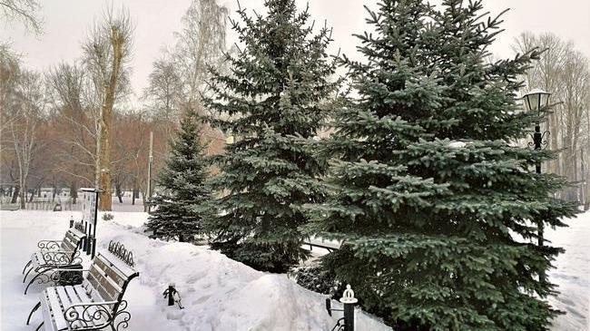 Снежное утро. Хорошо когда понедельник выходной! 😊