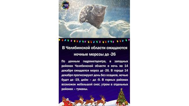 ❄В Челябинской области ожидаются ночные морозы до -26