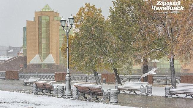 Доброе утро, друзья! ☕ Вот и наступила долгожданная пятница! 🤗 Да еще со снежком! ❄ Будьте аккуратнее сегодня на дорогах! 👍🏻