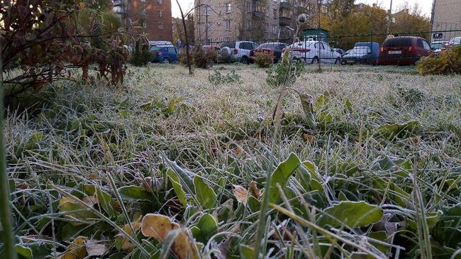 Первые заморозки в Челябинске... Кто еще успел заметить и сфоткать? Делитесь своими фото в комментариях!!
