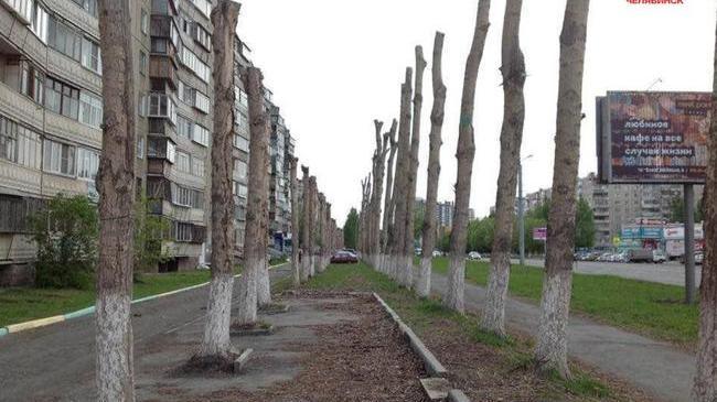 Обрезка деревьев на Комсомольском...