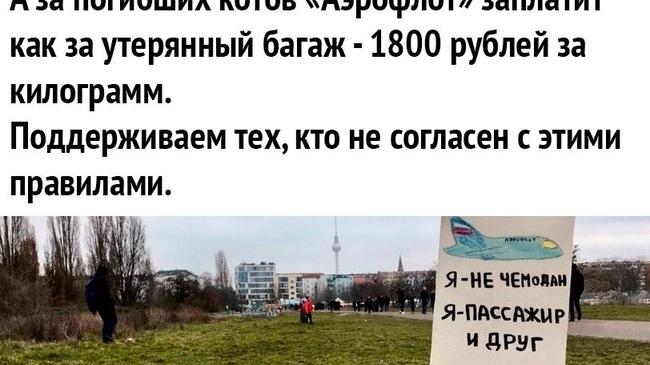 Что важнее-правила или все таки человечность