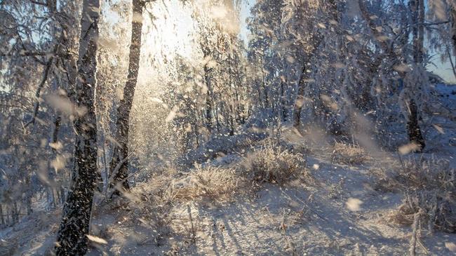 ❄ Ветер сдувает иней на горе Ишумак. Какую музыку вы бы приложили к этому фото?