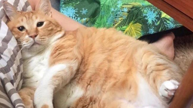 Настроение: