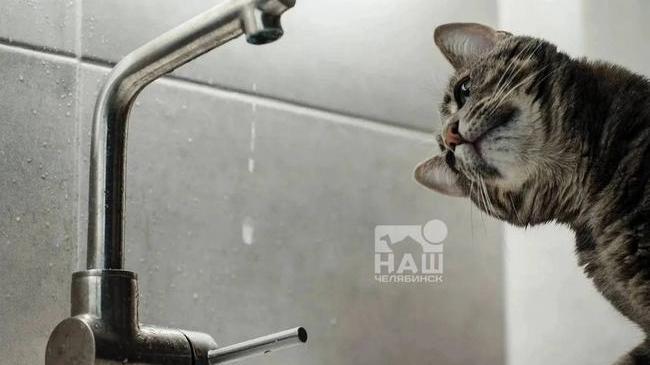 💦 Жители 30 домов в Челябинске остались без водоснабжения