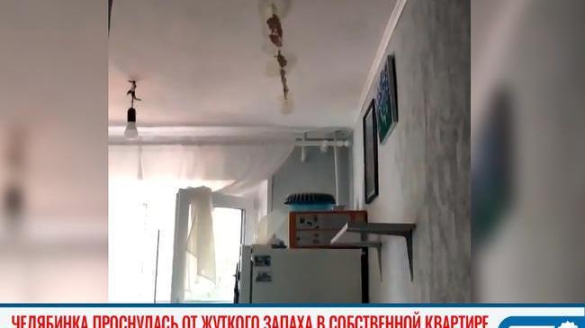 😱 Страшное утро: от жуткого запаха в собственной квартире проснулась жительница Челябинска 